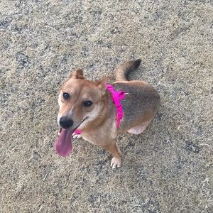 Meet your Posher, Marco